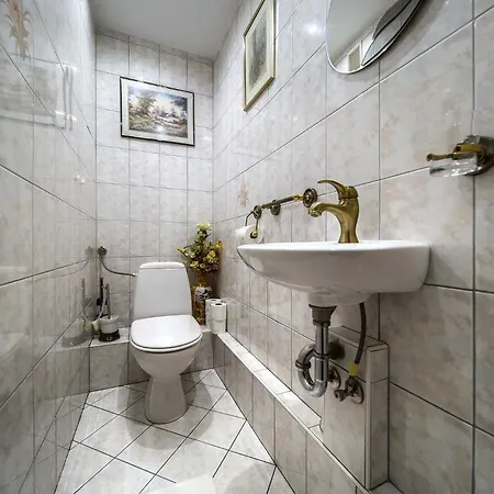 Szczepin Spacious Apartment Wroclaw Exterior photo